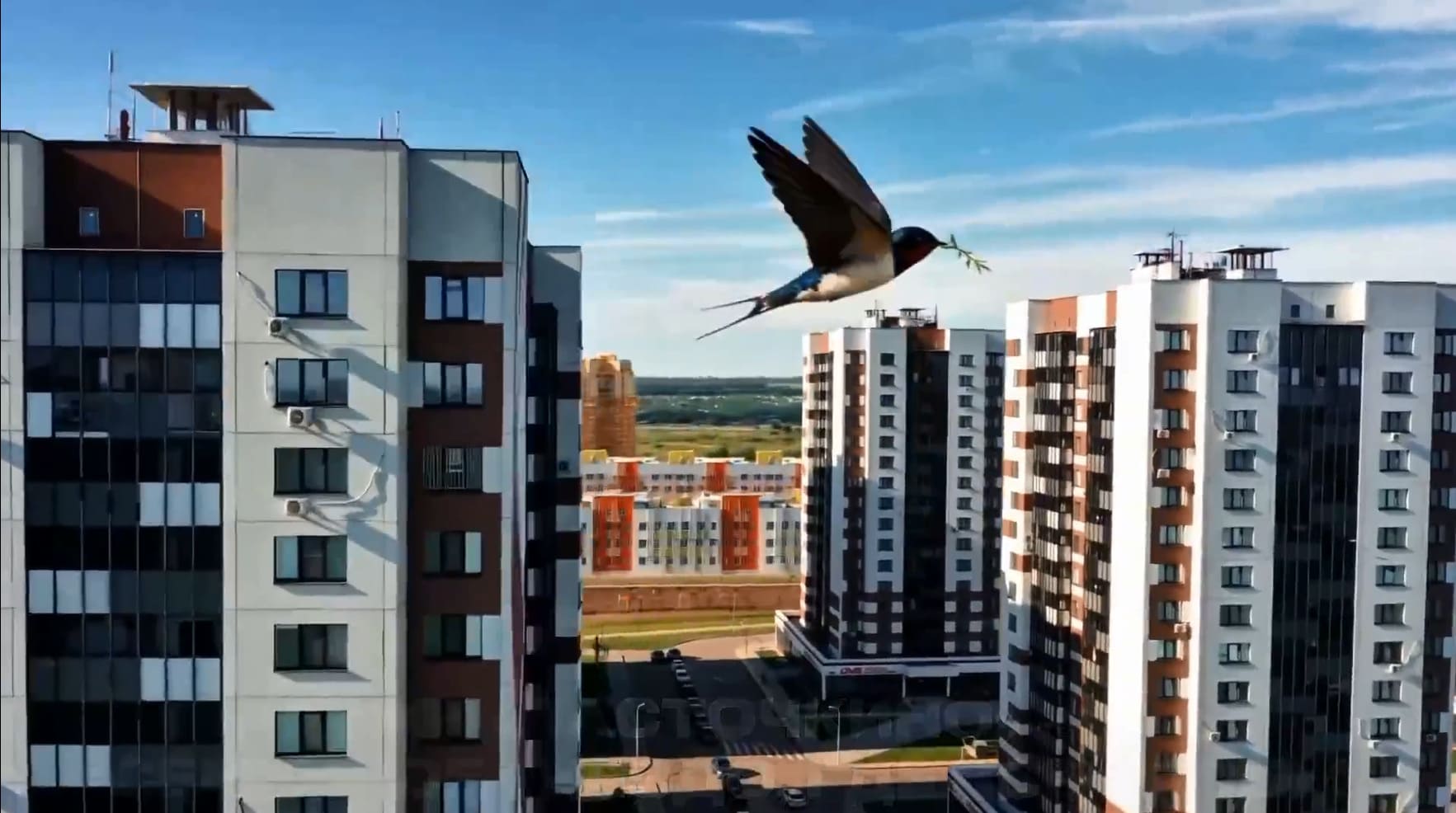 ЖК «Ласточкино»